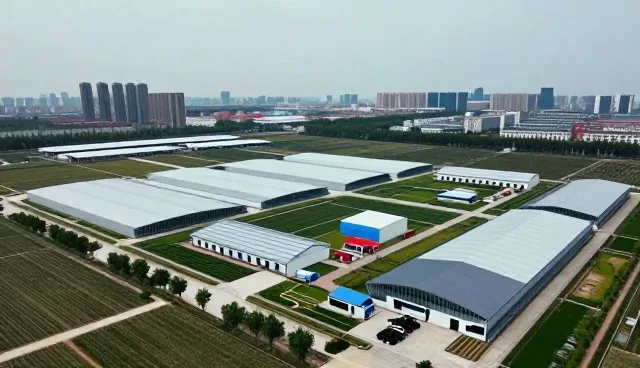 业务流程优化中的技术支持场景实践